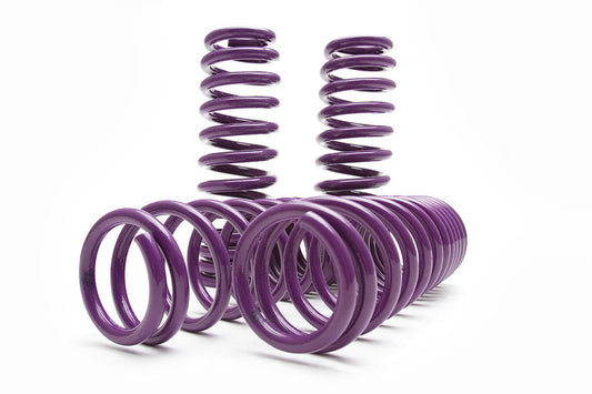 D2 Lowering Springs For Subaru 02-03 WRX - Evergreen Kings