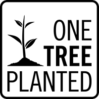 Tree to be Planted - Evergreen Kings -